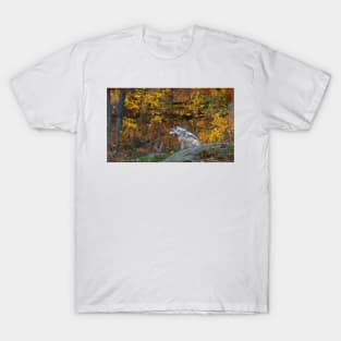 Lone Wolf - Timber Wolf T-Shirt